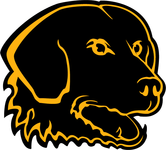 UMBC Retrievers 1997-2009 Alternate Logo iron on transfers for T-shirts